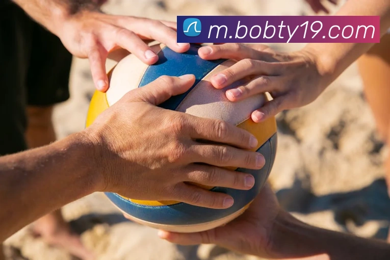 半岛· bob综合体育官方网站发展历程